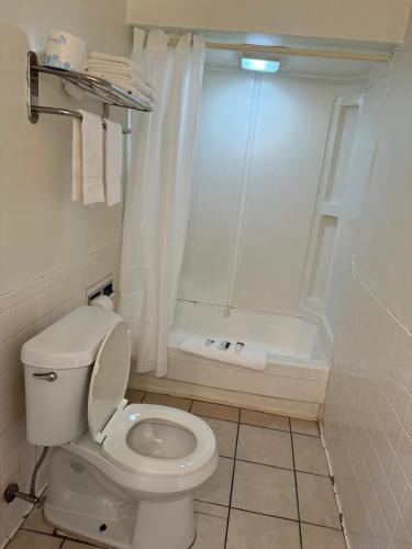 a white bathroom with a toilet and a shower at Bellevue Hotel and Suites in Bellevue