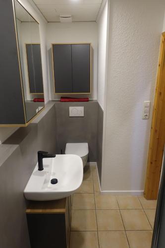 a bathroom with a white sink and a toilet at Urlaub auf dem Janssenhof in Sankt Michaelisdonn