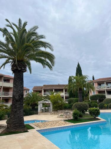 un palmier à côté d'une piscine dans l'établissement Bel Appartement, à La Croix-Valmer
