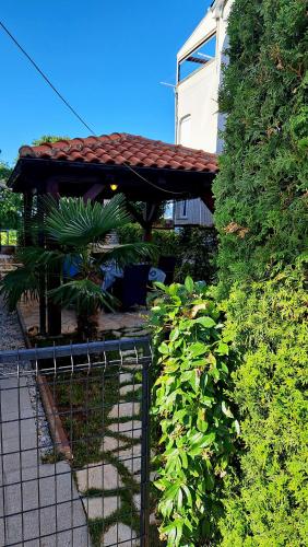 Zahrada ubytování Apartman Seaside