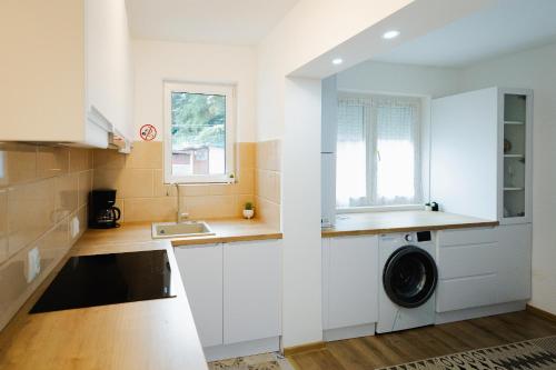 シギショアラにあるApartamentul Anisieiのシンクと洗濯機付きのキッチン