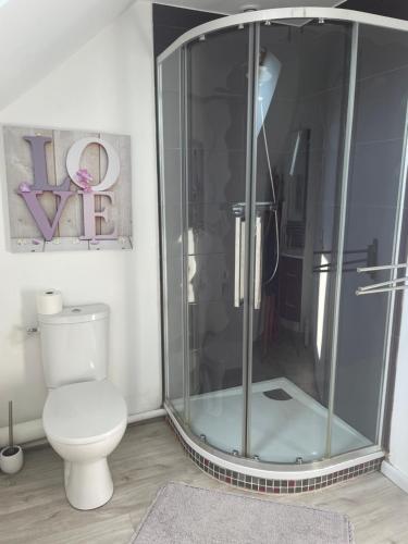 a bathroom with a shower and a toilet at Studio & Gîte Zen de Beauval- 800 m du Zooparc in Seigy