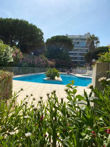 une piscine avec un bâtiment en arrière-plan dans l'établissement Appartement 4 personnes avec terrasse et piscine proche plage et commerces, à La Grande Motte