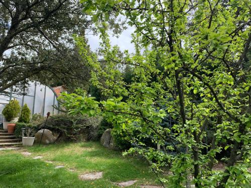a garden with trees and green grass and stairs at Villa con Jacuzzi exterior y Piscina cubiertos in Los Ángeles de San Rafael