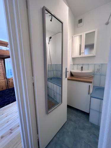une salle de bain avec un lavabo et un miroir dans l'établissement Charmant studio avec balcon à deux pas de Paris, à Ivry-sur-Seine