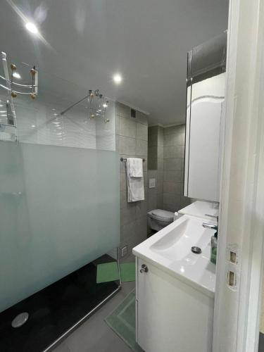 une salle de bain avec une douche en verre et un lavabo dans l'établissement 50m2 Climatisé Proche Mer, à Nice
