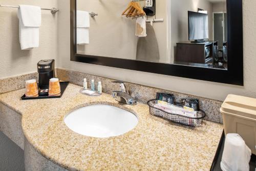 a bathroom counter with a sink and a mirror at Quality Inn Kingsland in Kingsland