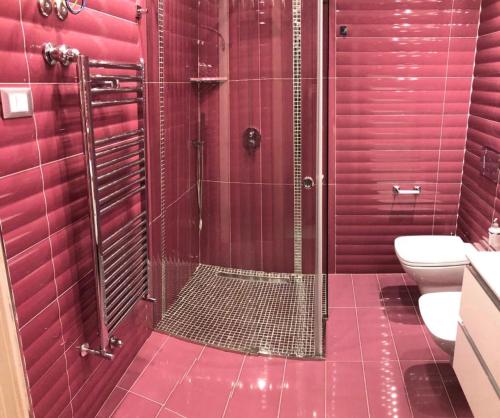 a red bathroom with a shower and a toilet at B&B Carpe Diem Domus in Lacco Ameno