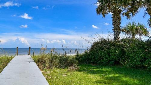 a path leading to the beach with a palm tree at Maison Blanche home by Peace Vacations in Georgetown