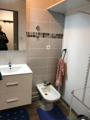 une salle de bain avec un lavabo, des toilettes et un miroir dans l'établissement la genette, à La Rochelle