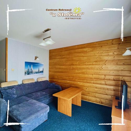 a living room with a blue couch and a wooden wall at Centrum Rekreacji U Stolema in Ostrzyce