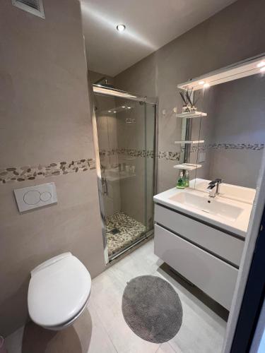 une salle de bain avec toilettes, lavabo et douche dans l'établissement Calm apartment with sea view, à Nice