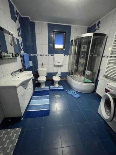 a blue and white bathroom with a toilet and a shower at Casa Iuliana Camelia in Câmpulung Moldovenesc