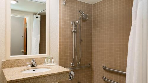 a bathroom with a sink and a shower with a mirror at Holiday Inn Chicago Nw Crystal Lk Conv Ctr by IHG in Crystal Lake