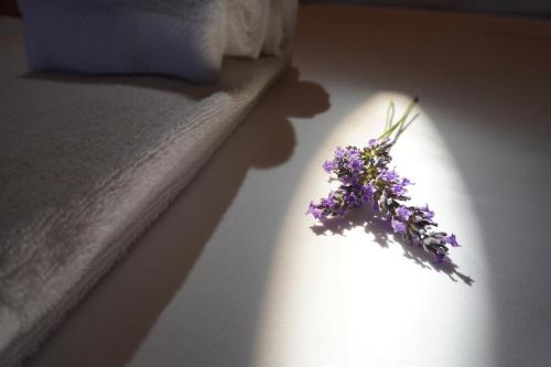 Katil atau katil-katil dalam bilik di Agriturismo Podere Santa Virginia