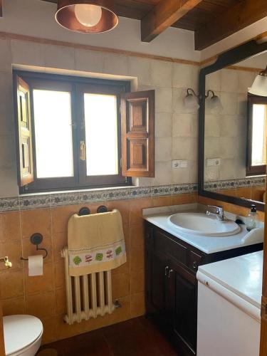 a bathroom with a sink and a toilet and a mirror at La Pipa in Cangas de Onís