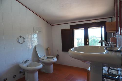 Bilik mandi di Agriturismo Podere Santa Virginia