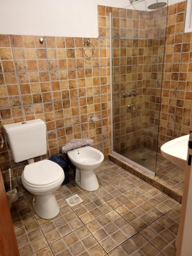 a bathroom with a toilet and a shower at cabañas Villa de las rosas in Villa de Las Rosas