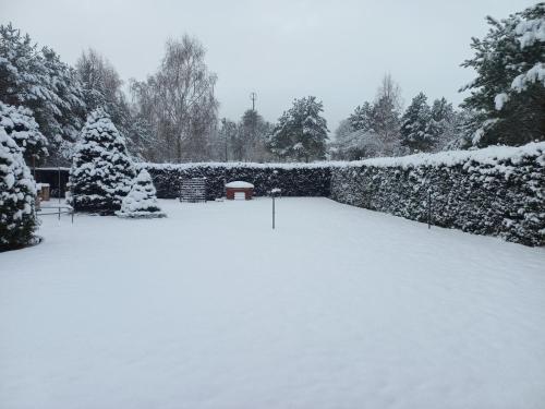 a garden covered in snow with trees and a wall at Dom pod gwiazdami in Gamerki Wielkie