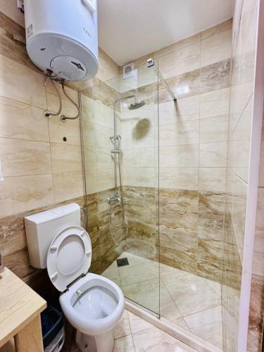 a bathroom with a toilet and a glass shower at Vila Relax in Dobra Voda