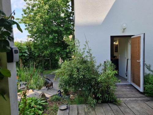 a cat walking down a wooden walkway next to a house at Airport Private Apartment, Advance Registration, No Reception, Self Check-in, Calm Environment, Non-Smoking Guests in Kněžívka