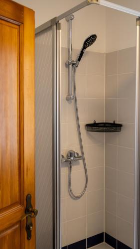 a shower with a shower head in a bathroom at Flat Bull Appartement mit Garten in Sankt Lorenzen bei Knittelfeld