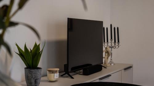 a television sitting on a table with a plant at Flat Bull Appartement mit Garten in Sankt Lorenzen bei Knittelfeld