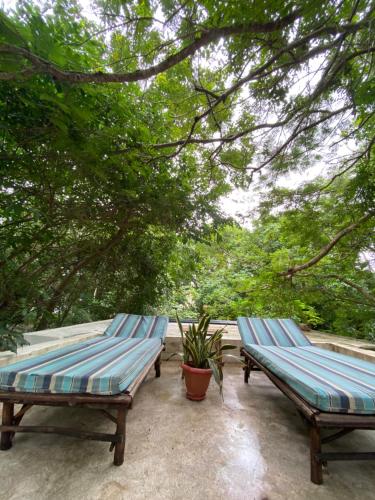 Photo de la galerie de l'établissement Manta Cottage - Forest view, à Galu