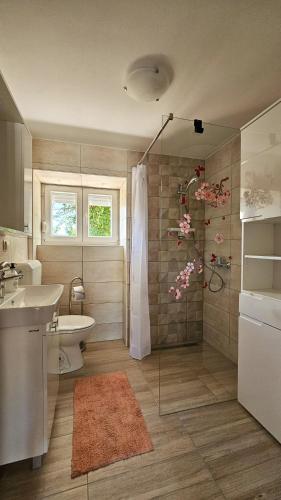 a bathroom with a shower and a toilet and a sink at Apartman Petra in Vrh