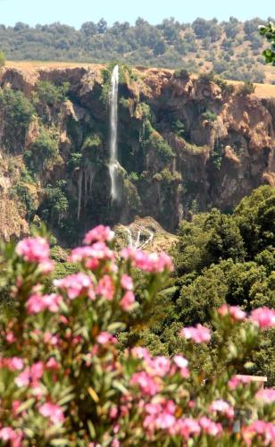 Un paisaje natural cerca del departamento