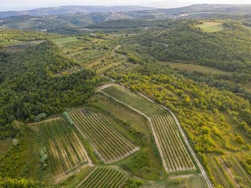 an aerial view of a farm field with trees at Holiday Home Villa Samanta by Interhome in Momjan
