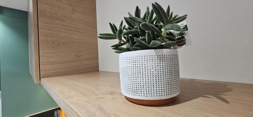 a white vase with a plant sitting on a counter at AppPrusnik in Ljubljana
