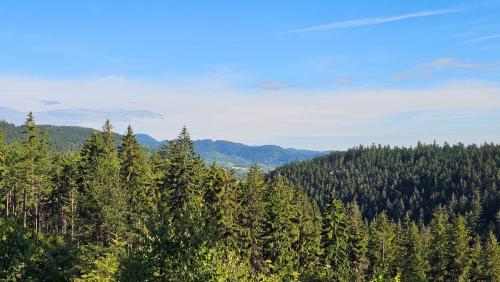 a forest of trees with mountains in the background at Graniczna 21 - w Górach Sowich in Ober Wüstegiersdorf