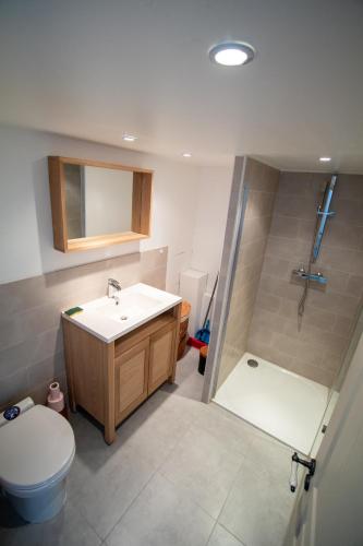 une salle de bain avec un lavabo, des toilettes et une douche dans l'établissement Chambre à la campagne, à Villecroze