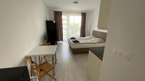 Posteľ alebo postele v izbe v ubytovaní 1 room Apartment with terrace, Slnečnice