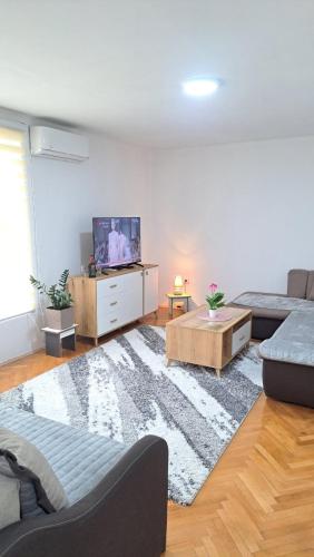 uma sala de estar com um sofá e uma TV de tela plana em Apartman Biser Pive em Plužine