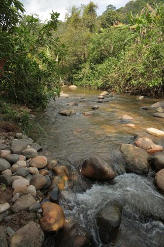 a stream of water with rocks and trees at Casa Flôr - Beira rio Centro de Lumiar in Lumiar