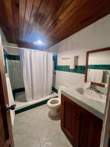 a bathroom with a toilet and a sink at Los Quetzales Ecolodge & Spa in Cerro Punta