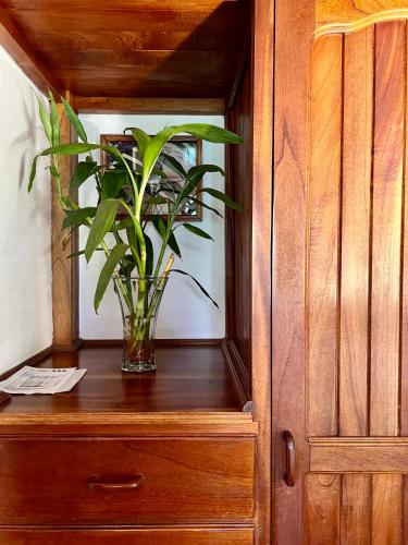 a plant in a vase sitting on a wooden cabinet at Los Quetzales Ecolodge & Spa in Cerro Punta