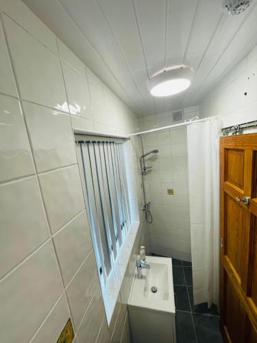 a bathroom with a sink and a shower and a toilet at Riverside Studio Apartment in Donegal