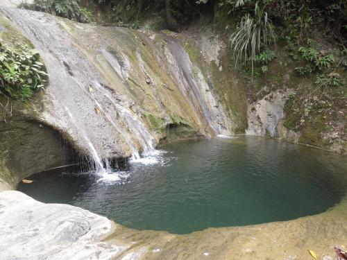a pool of water in front of a waterfall at HOTEL LA SELVA Reserva in La Vega
