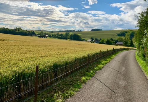 a country road next to a field of crops at Retour aux Sources in Hastière-par-delà