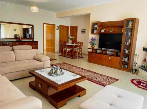 un salon avec un canapé et une télévision à écran plat dans l'établissement Comfortable apartment, à Tirana