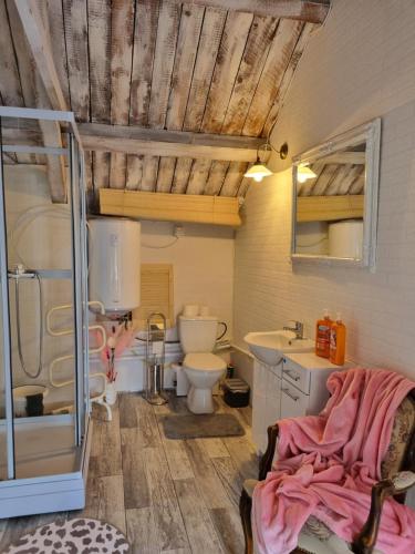 a bathroom with a toilet and a sink at Polar Cottage House Bodø in Nygårdsjøen