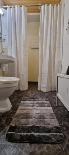 a bathroom with a toilet and a sink and a rug at Cozy studio apartment in the center of Rovaniemi in Rovaniemi
