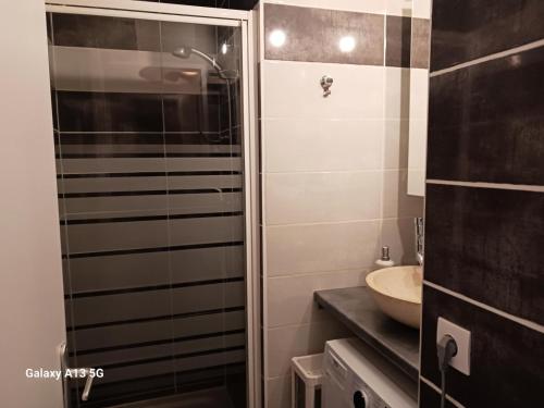 une salle de bain avec un lavabo et une douche en verre dans l'établissement Résidence Arandelieres - Beau duplex pour 6 personnes, au coeur de la station d'Arc 1800 MAE-7261, à Arc 1800