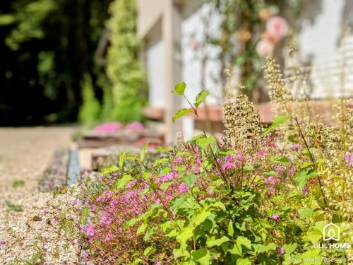 a garden with purple flowers in front of a house at Les Charmes - Climatisation - Terrasse - Nature in Boigny-sur Bionne