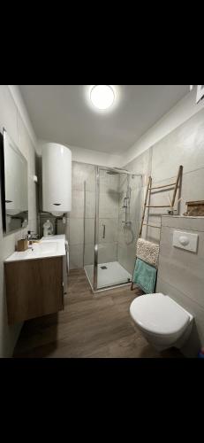 une salle de bain avec une douche, des toilettes et un lavabo dans l'établissement Magnifique appartement en bord de mer, à Borgo