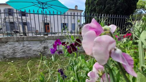 Zahrada ubytování Chambre 3 Le Clos des Quatre Lieues