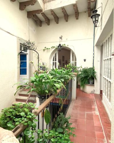 un porche de una casa con un montón de plantas en Alonso53, en Guanajuato
